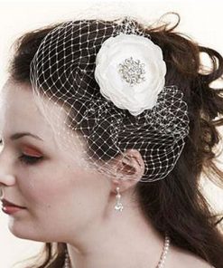 mini birdcage wedding veil by lily bella