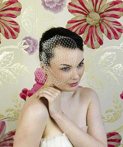 mini birdcage wedding veil