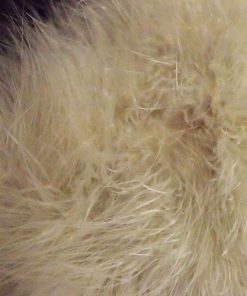 Sasso Minnelli Marabou Feather Shrug